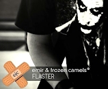 FLASTER